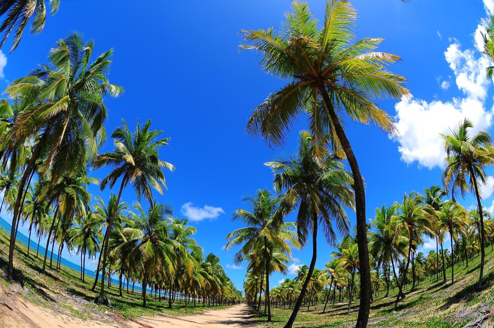 ホテル Prive Pontal De Maracaipe Pôrto das Galinhas エクステリア 写真