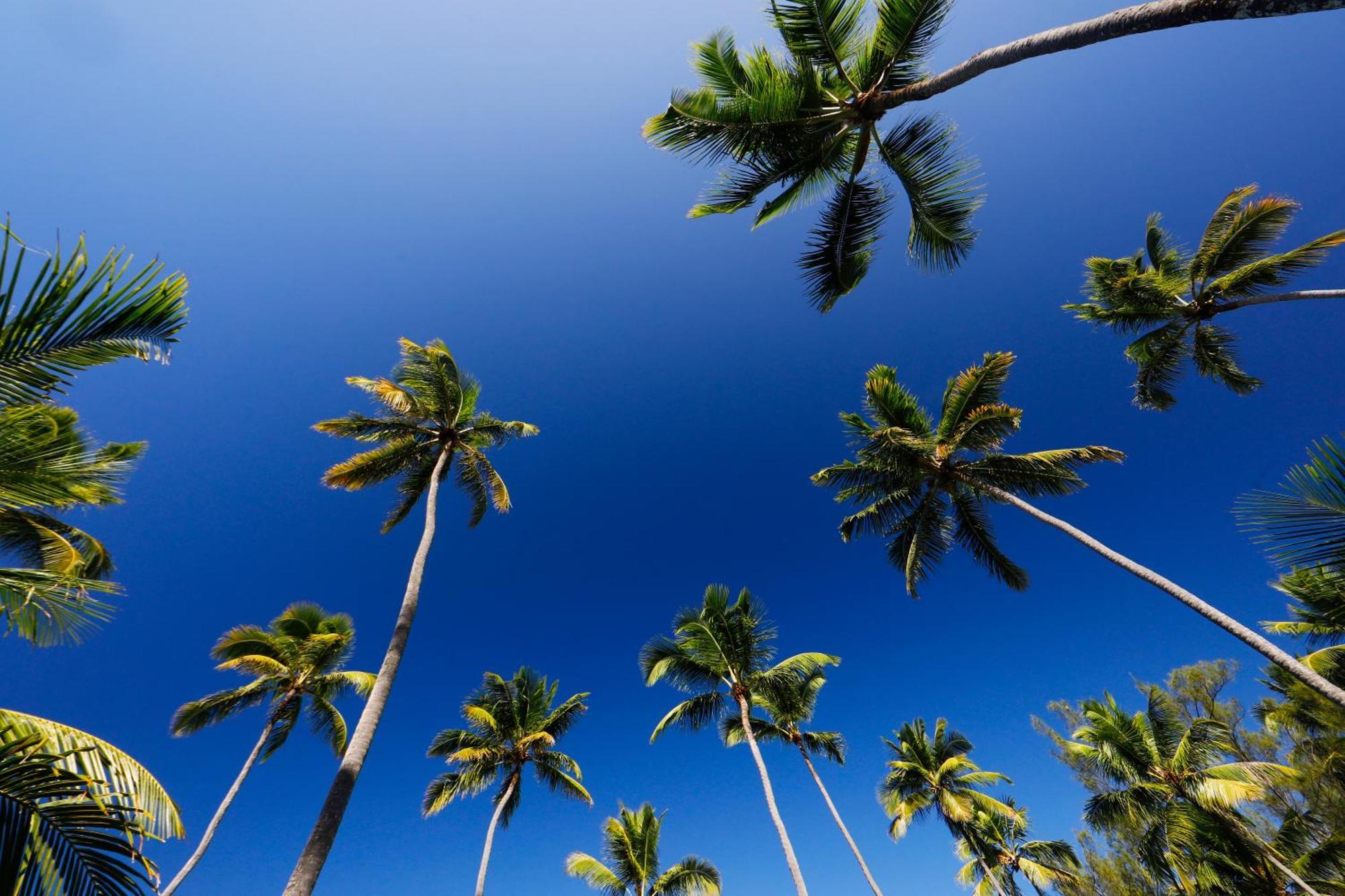 ホテル Prive Pontal De Maracaipe Pôrto das Galinhas エクステリア 写真