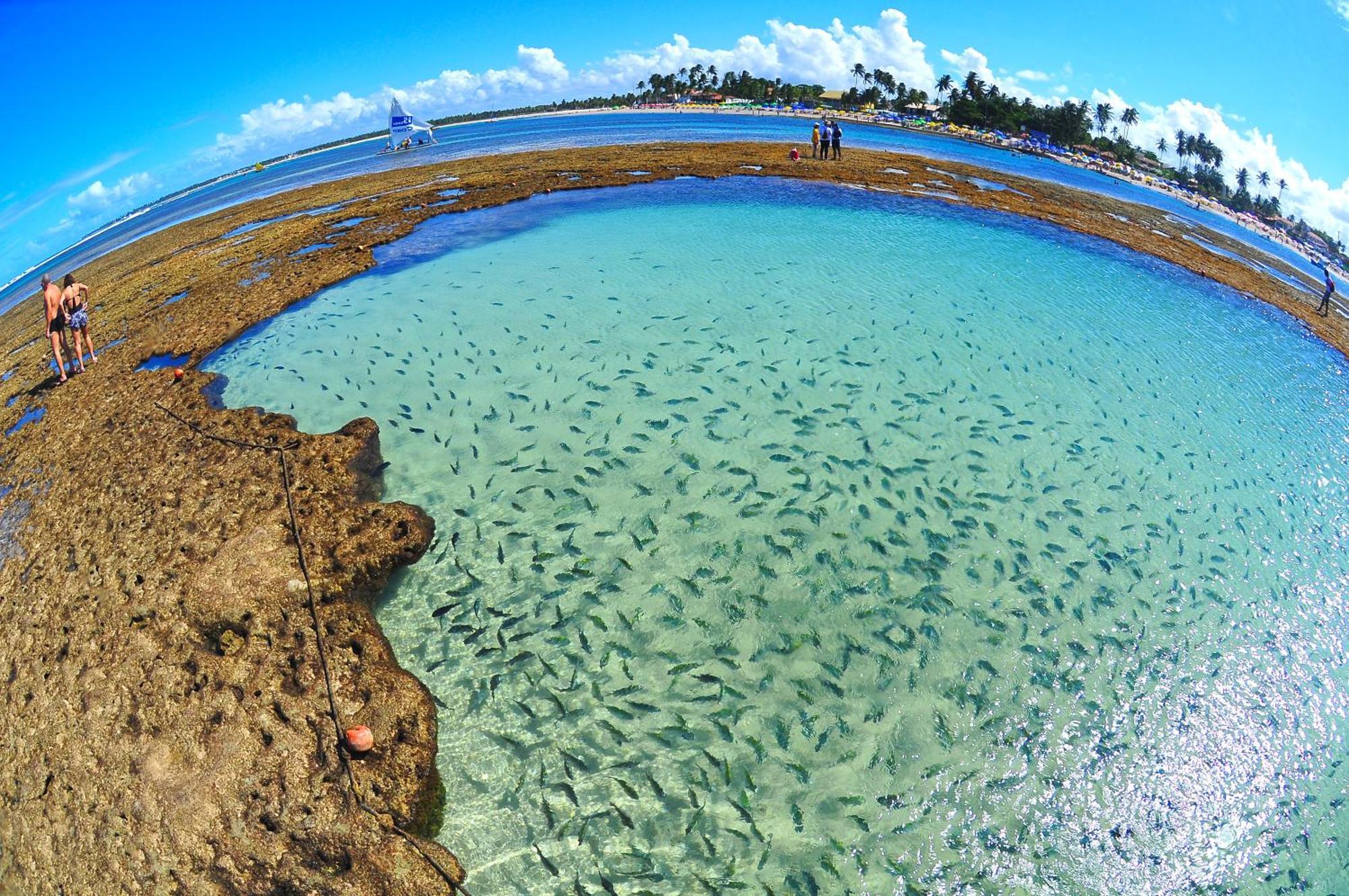 ホテル Prive Pontal De Maracaipe Pôrto das Galinhas エクステリア 写真